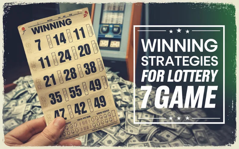 7 lottery result